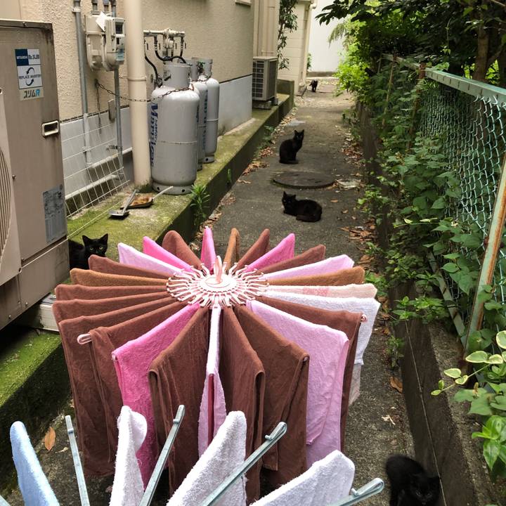 2f116f07 6608 42a3 9490 d044d11be615 1592876050052