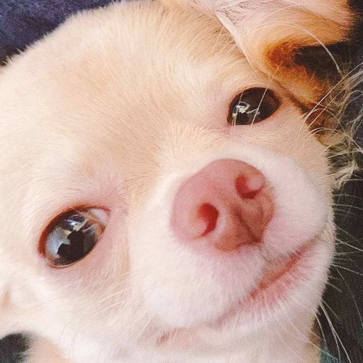 2f11735d 104b 4d0c b879 30a05598164f 1599909059206