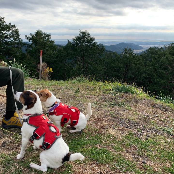 2f1175f8 ea7b 467b 9588 24406aca1e77 1577604334664