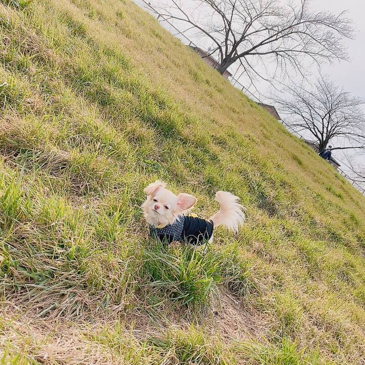 2f1195ba 068f 490b a1f3 12afcef6cb82 1614849937995