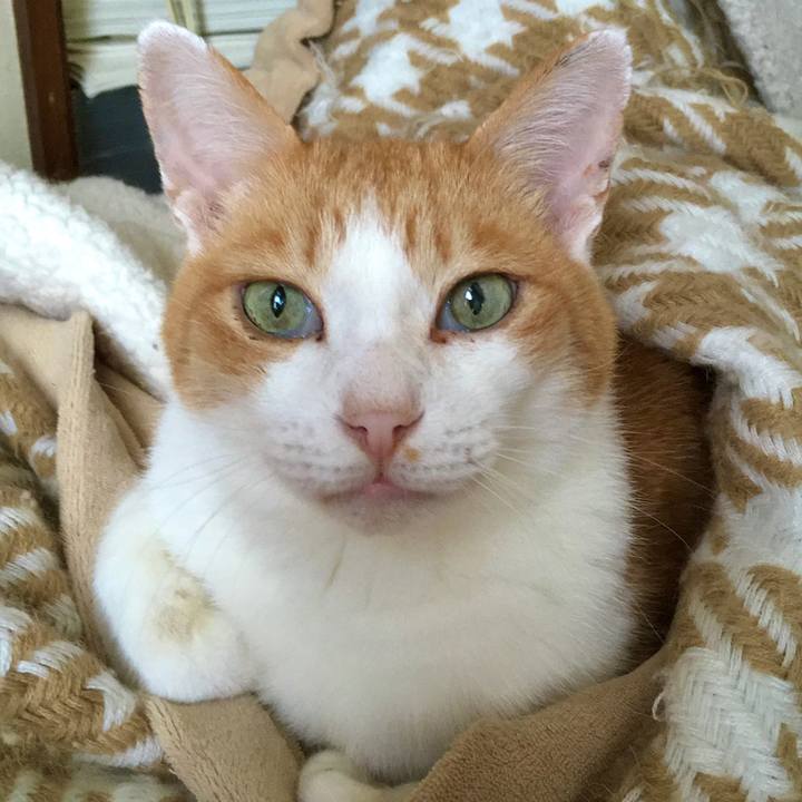 2f119b33 ba3d 454e 917d 2eaff9a9a47f 1602455587360