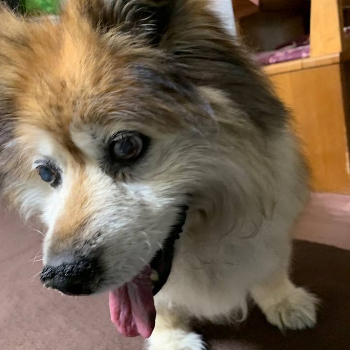 2f11ab2f ca20 46c1 ba3d d20ec5382866 1596932162497