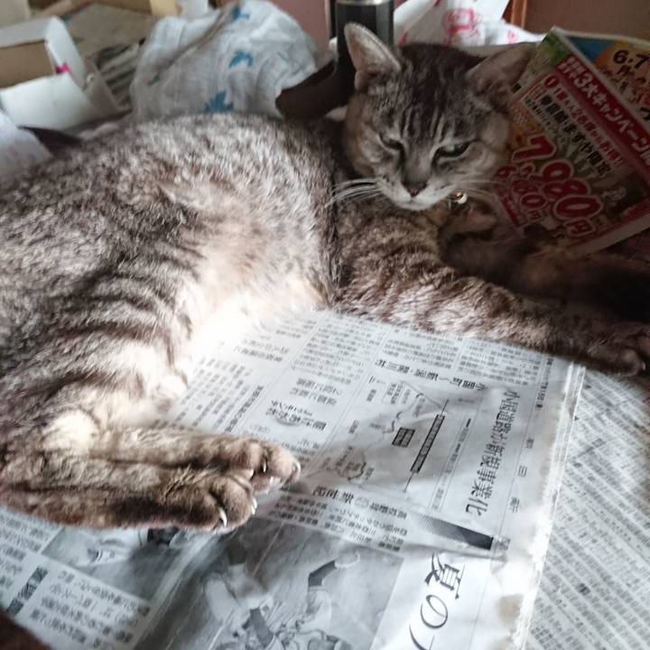 2f11c214 50d8 4f02 ba32 a4973a20adc4 1564477610385