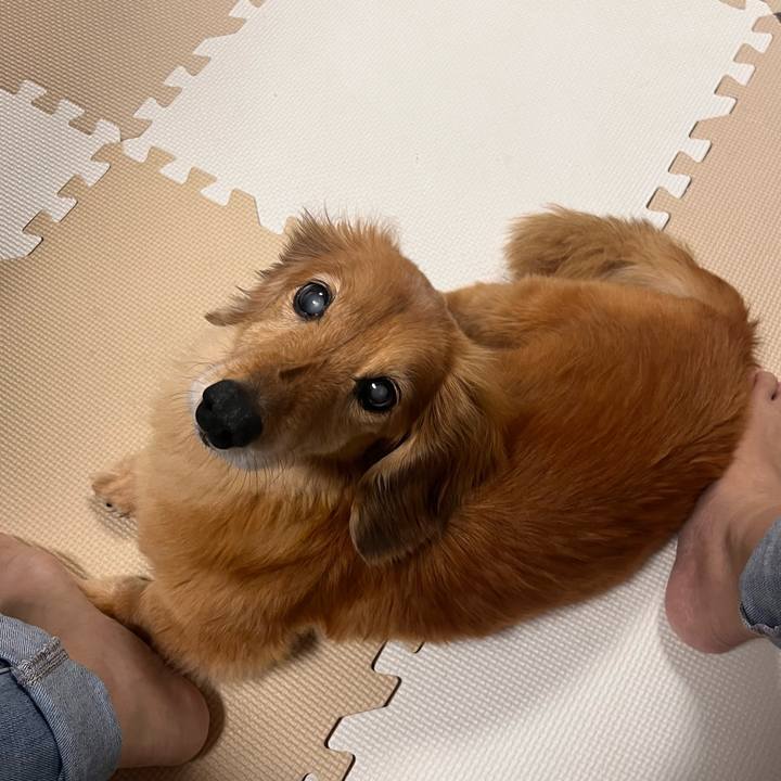 2f1208ee 5d68 4e22 89c8 4d6b8a4ed9f9 1650630227934