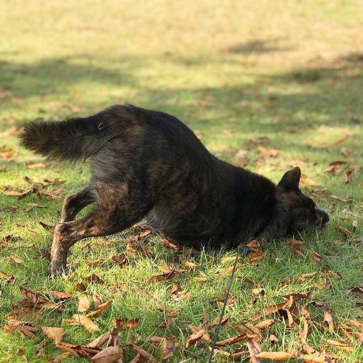 2f120a90 9b7c 44d2 9d6a 02ac4d949632 1539669404809