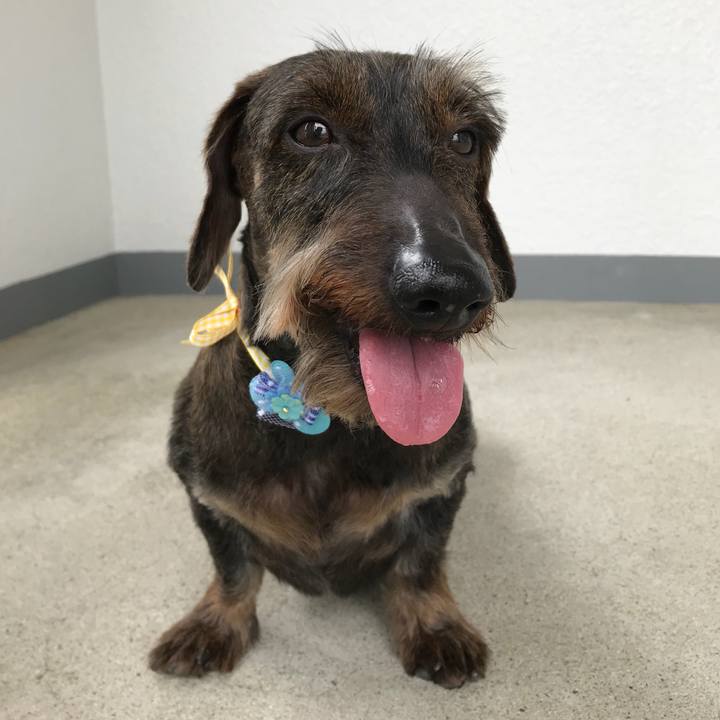 2f126306 8d85 4608 98b1 bd311d8c332e 1525266555397