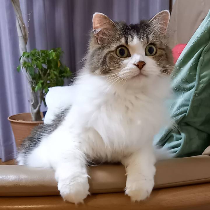 2f1276c6 c326 498e b8ea 7427ad41016d 1668419398745