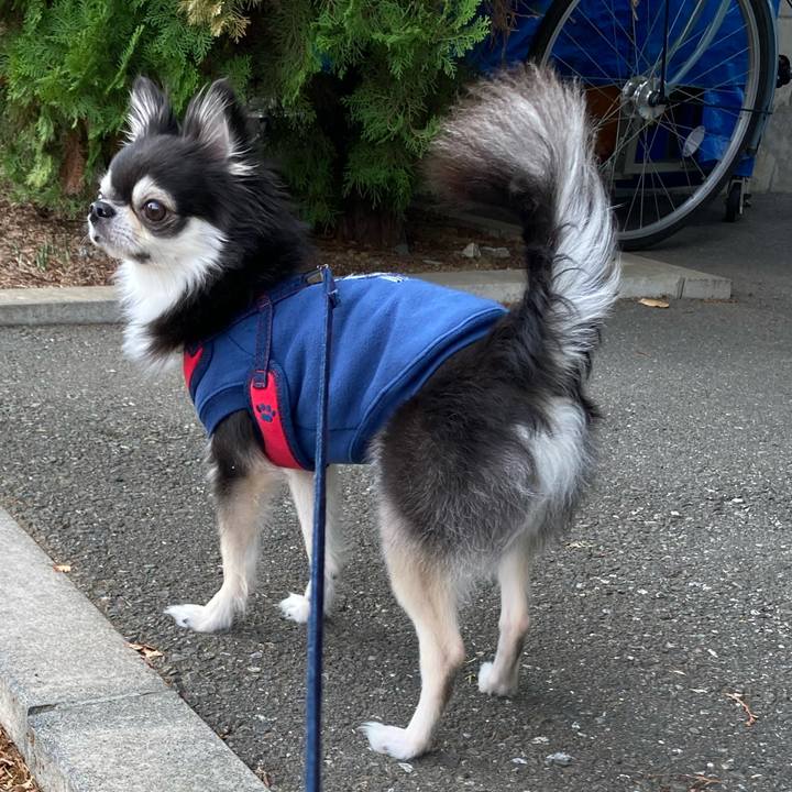 2f12ba96 d75e 4d04 a347 9e8c9ac28354 1700014154590