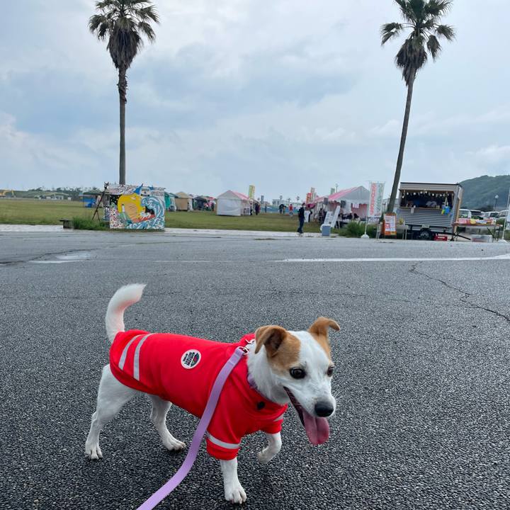 2f12ce5c 667a 4b46 a816 aa4e3c468f92 1653138448475