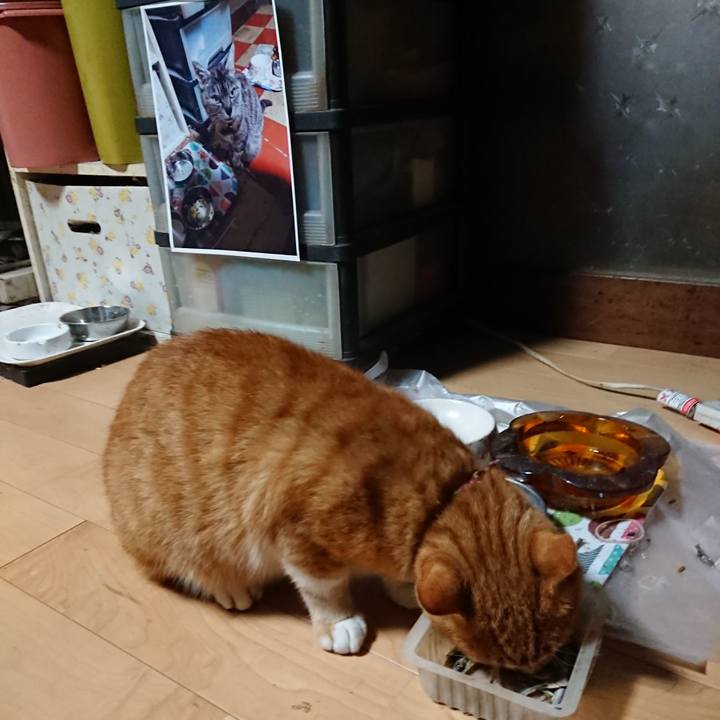 2f12dbe7 2caf 43b4 9ffd 7103c56fdf6b 1601326385441