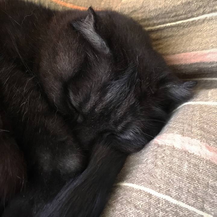 2f12e637 6874 468e b3bd 7bca84306f46 1555974924103