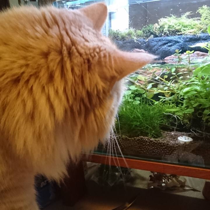 2f12f400 5b1b 4208 bece 570a90b743b0 1515909199333