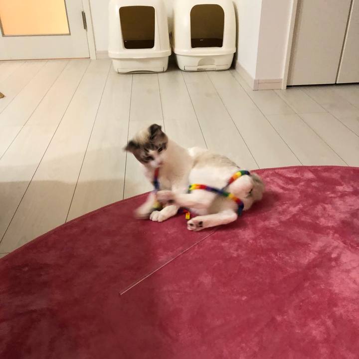 2f1318ca 403f 4d5d a3b3 ccd625dab600 1519643529803