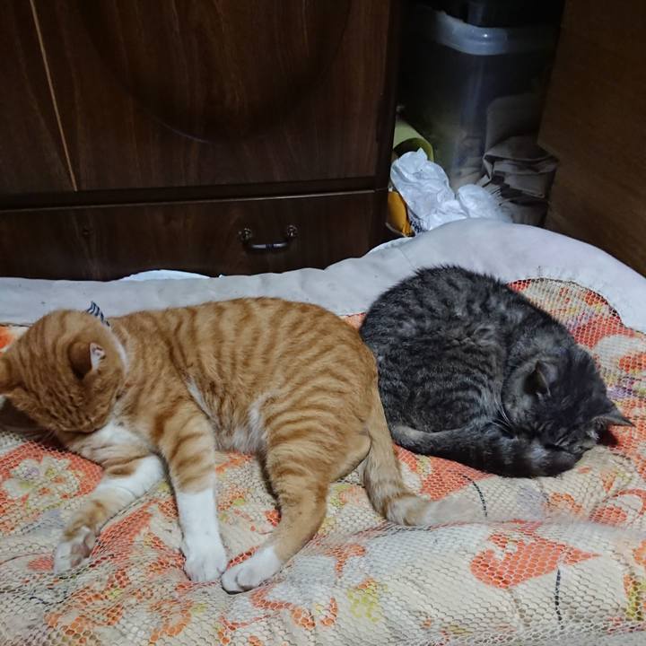 2f131b5e f002 46aa a259 55095ef89a7b 1571402397264