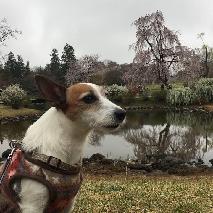 2f13602e fdef 43da 9766 b8d932b28a82 1553995638664