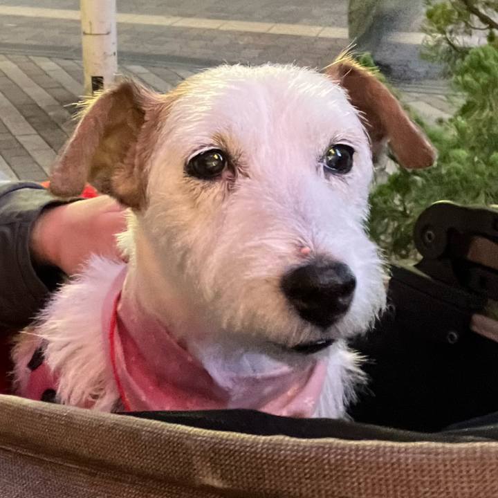 2f1362d8 9ed6 4276 8e45 de69c258bb97 1760280253084