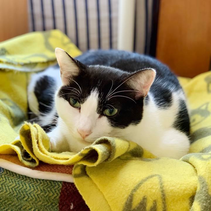 2f141435 587f 41a4 9f49 2a3b52fac77f 1541902841218