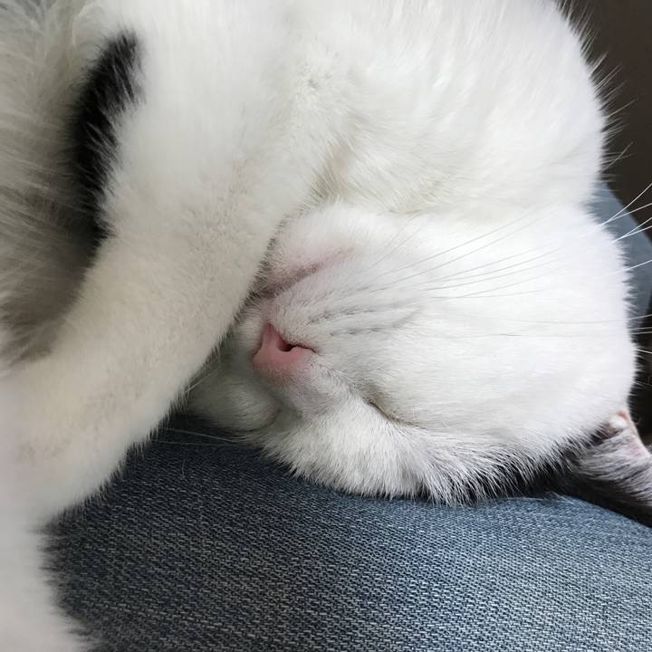 2f141b24 24dd 4a41 83f2 f8e3aa9ad4d0 1509711764161