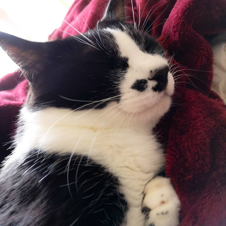 2f1446ff 5052 4971 a63d 4fa70ff6eb59 1604368922715