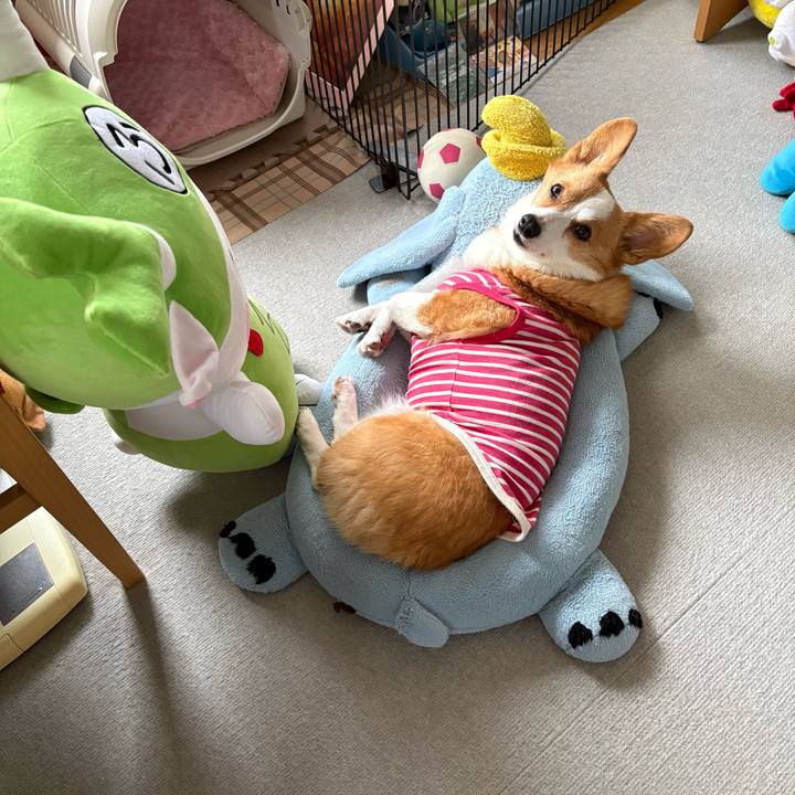 2f145193 d00a 48a9 a280 20862095dacd 1771986691389