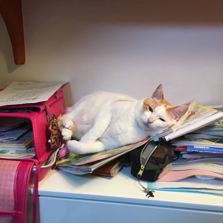 2f148757 44dd 4529 8aa1 33de8cf03a35 1523282046976