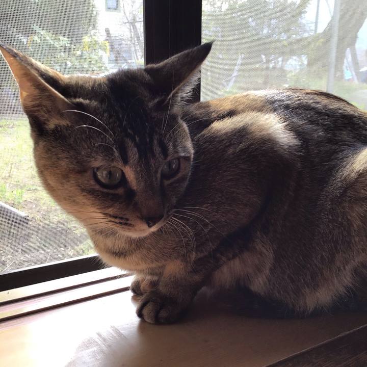 2f148919 bd24 438c 8ed9 a059e0207032 1584056204130