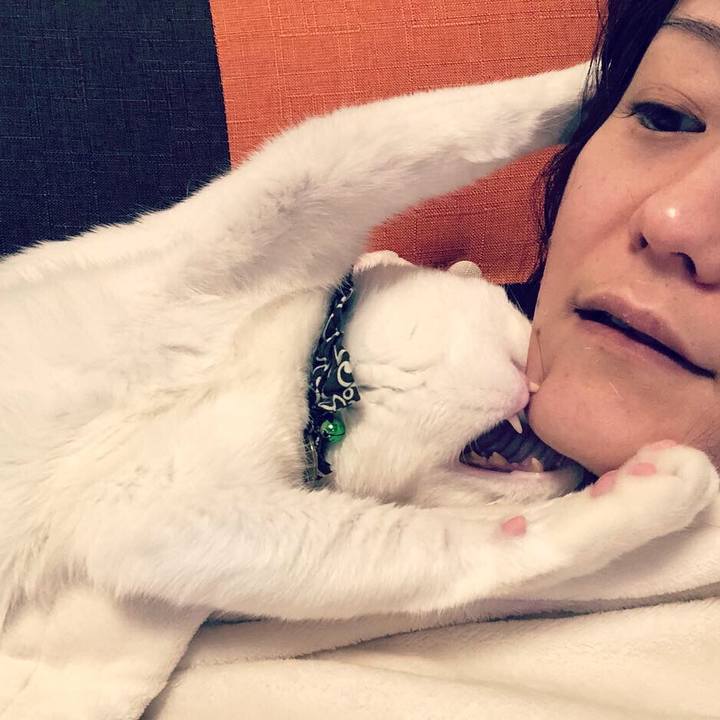 2f14a6a8 b91a 473d 8f62 0e44fbc7d6bc 1555933836271