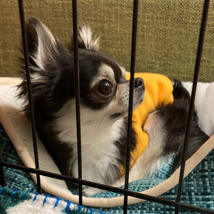 2f14e032 b89c 460a a2dc 03004c1b57dd 1677337493188