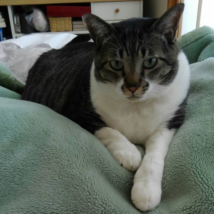 2f15060a 471c 4207 b035 e03fe693e163 1512963958009