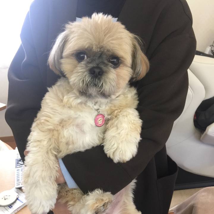 2f15181c 7cc5 42b3 9215 a86aaeda61ee 1542677327566