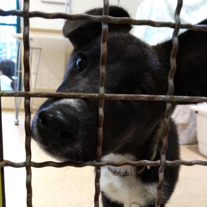 2f151d0b 7b77 46e2 8c30 2cf8f81998f8 1549090854577