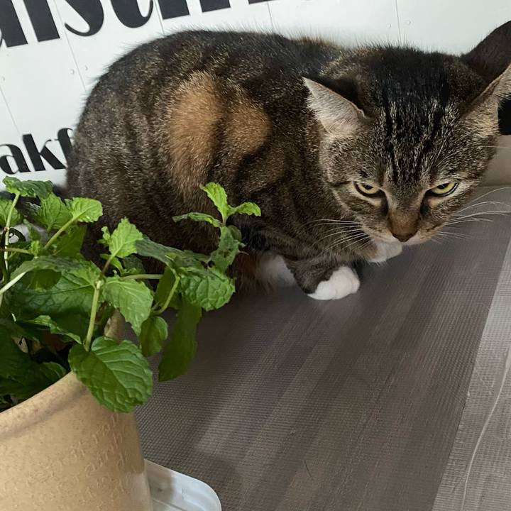 2f152f44 1926 4583 8a60 049a99951441 1630900912436