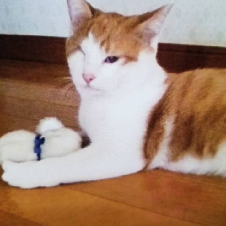 2f157b8f 4a61 484c 905c 44fbd56d1eec 1540560164609