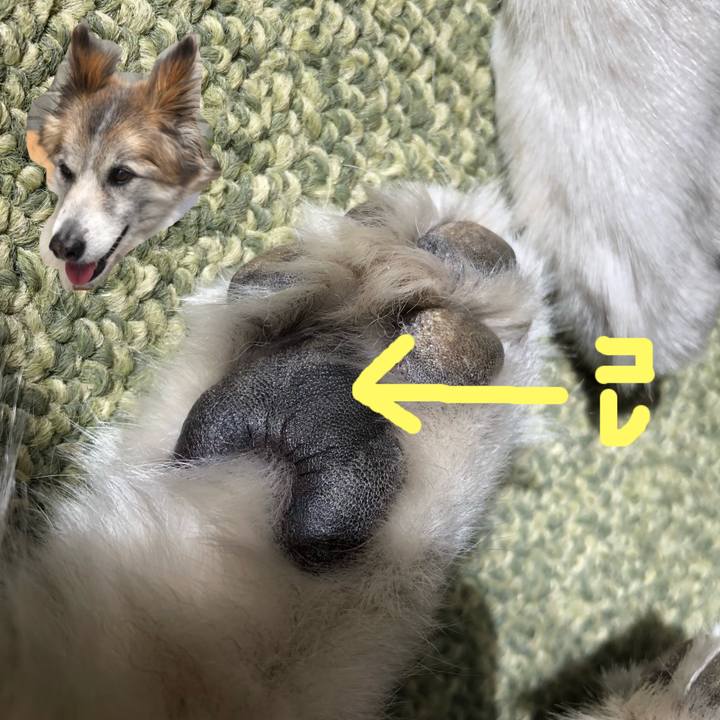 2f15b222 48c3 4643 802e e4bdf73c0c06 1538526985704