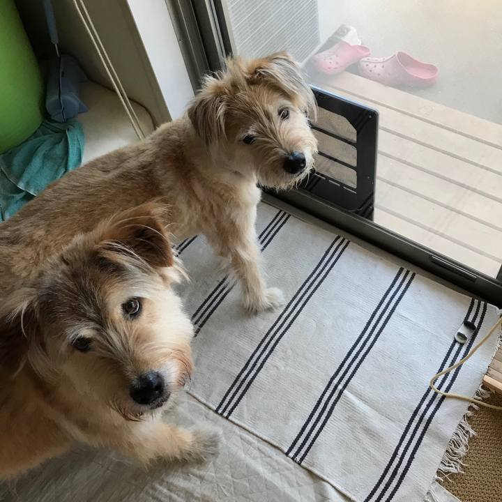 2f1604bc 06a4 4290 b201 f50e8a48bfc8 1531277974760