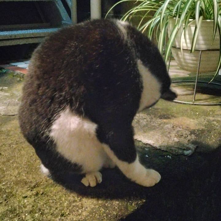 2f161baf ffc0 4dc0 a831 c076c7ac141d 1702378453867