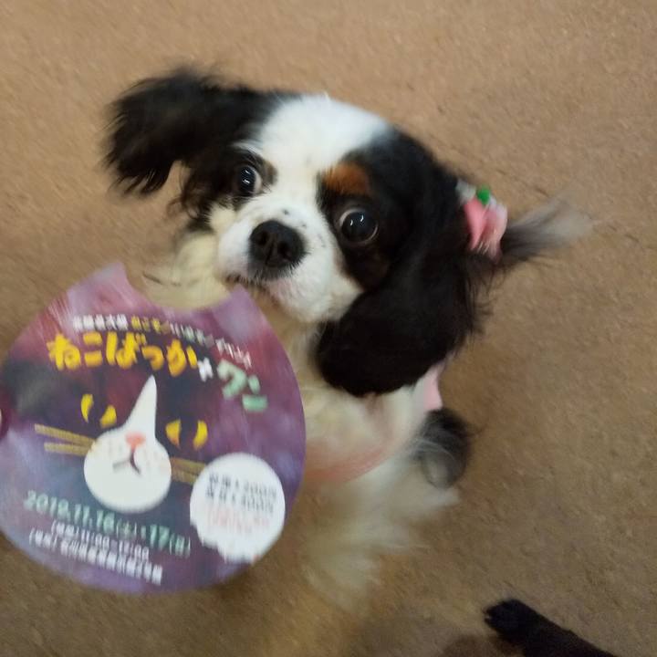 2f162a96 4428 4e93 a53c 9917de65b519 1573819200148