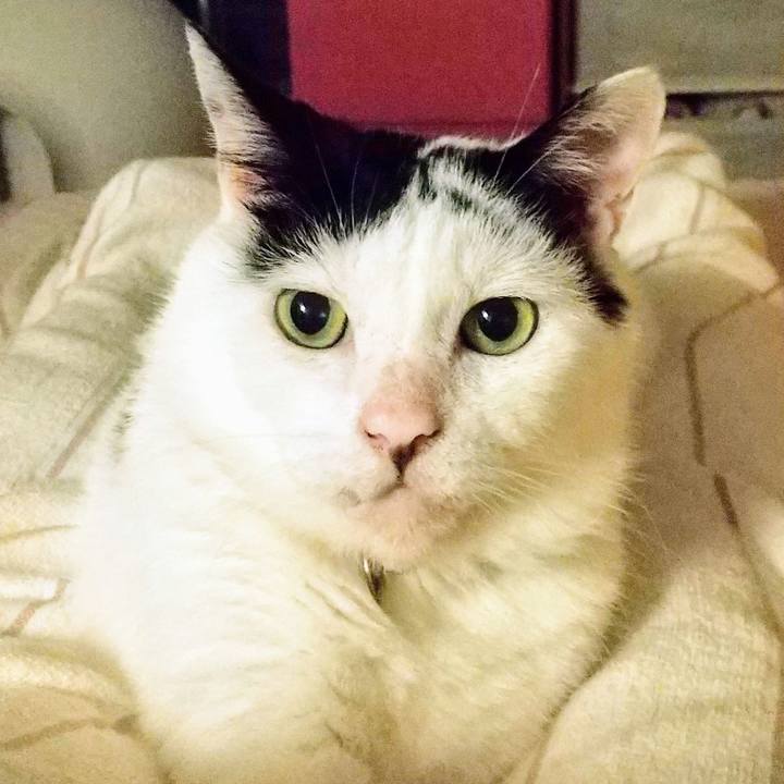 2f1636b9 1771 454a 8089 5b41fc966012 1629880206538