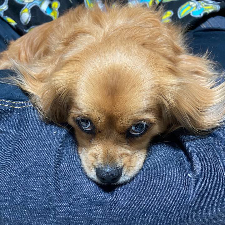 2f166404 0c87 4a0c ad22 4d687de0406c 1620594606724