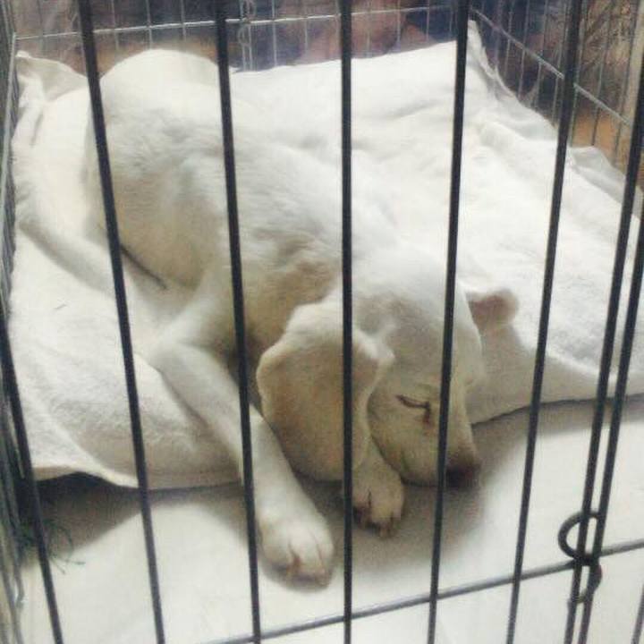 2f167b16 5490 43b7 aa89 6e38c48e28c2 1531463342817