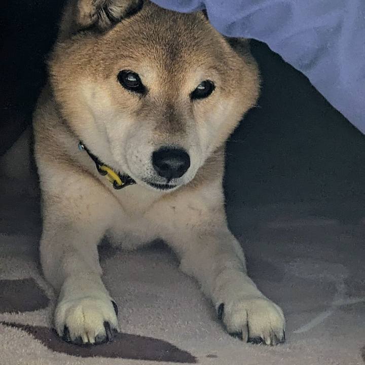 2f167cb5 65be 41df a6d2 fbbc9be533dd 1772877050663