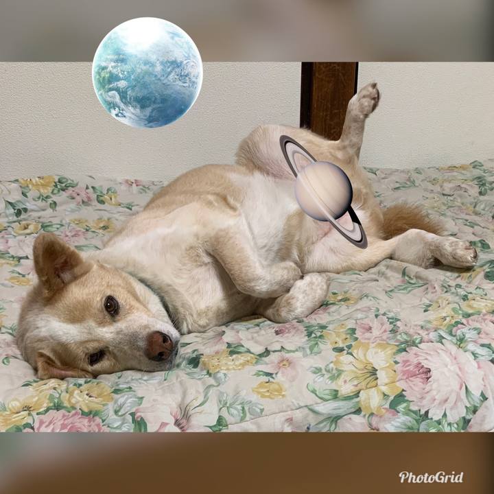 2f1680f7 fcc0 4731 8a22 06cf705206cc 1562072771625