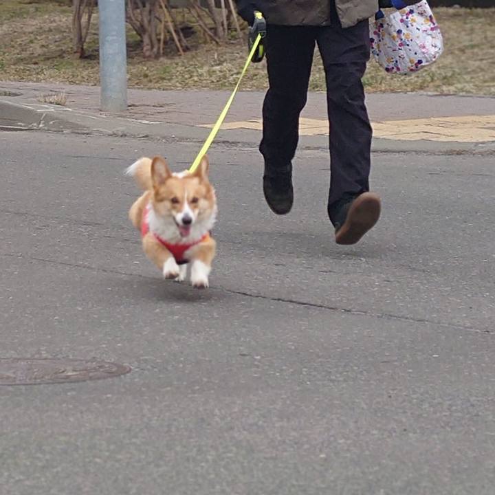 2f1691ca 3e34 4ef3 9146 c4a9b2841d5c 1774222367078