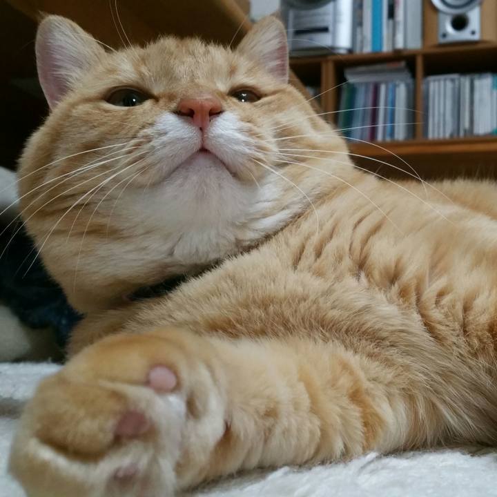 2f16967d c9b9 43e0 aea8 a34296603247 1545000941286