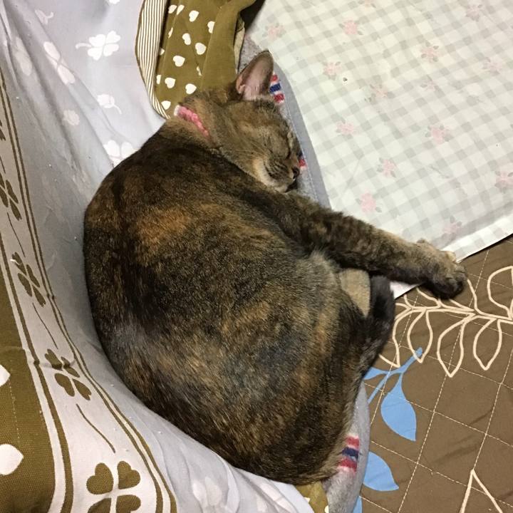 2f16b788 3fde 421f af84 2330e17c27ff 1734687903759