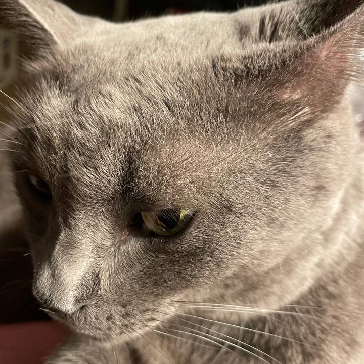 2f16c3fb ec7b 4db1 86eb bc950d469118 1703652916104