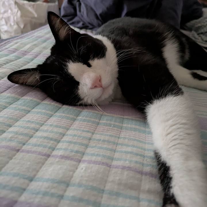 2f16c966 da85 4724 bd62 a5efcc380eb1 1754084991449