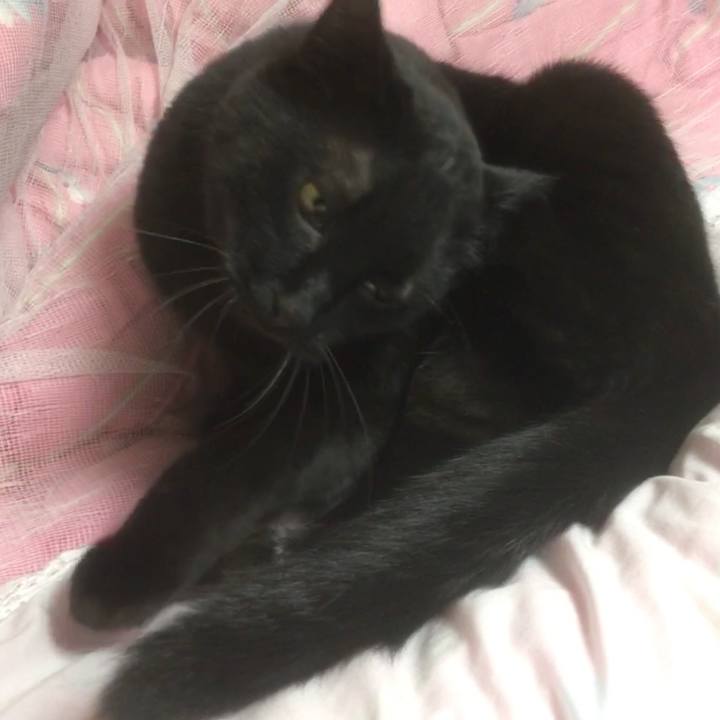 2f16cc52 61d8 4922 82d4 ff2154231e00 1523528102578