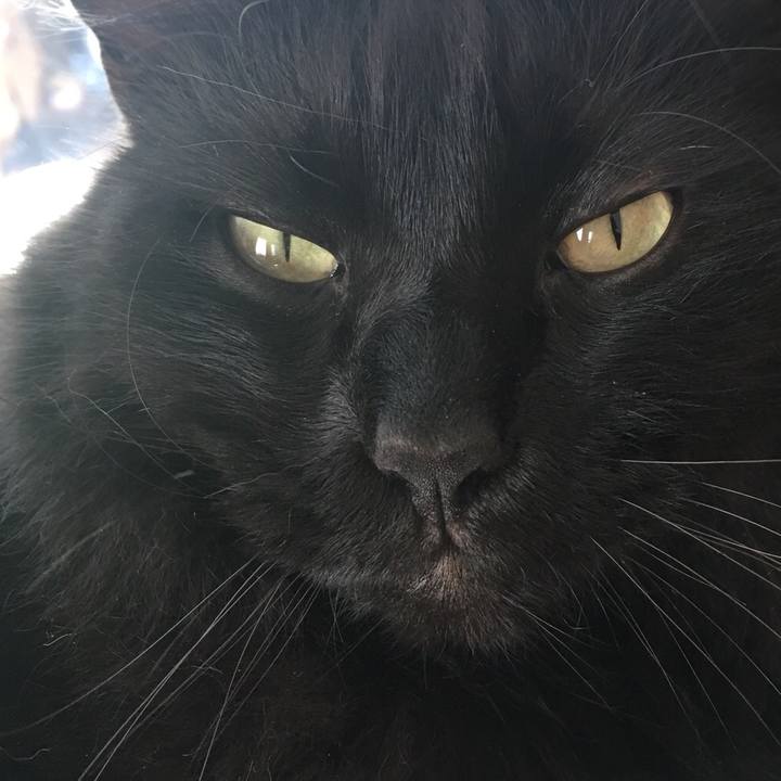 2f171230 88a6 49e7 8e92 94ce5eb10c53 1530347228751