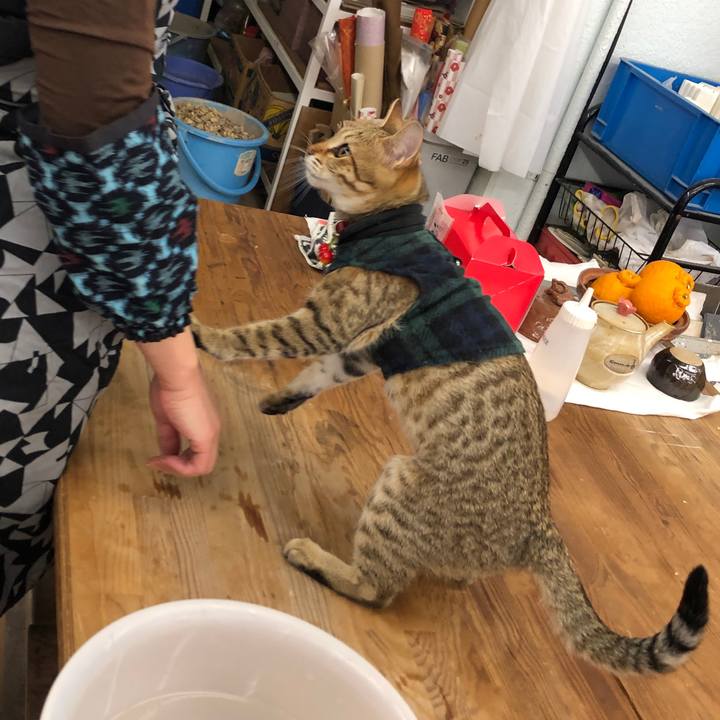 2f172df8 7ef4 40ee 8865 f0046cfec0a1 1582957154918